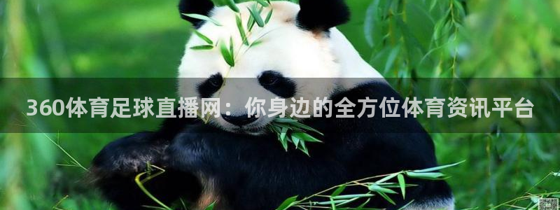 360体育足球直播网：你身边的全方位体育资讯平台