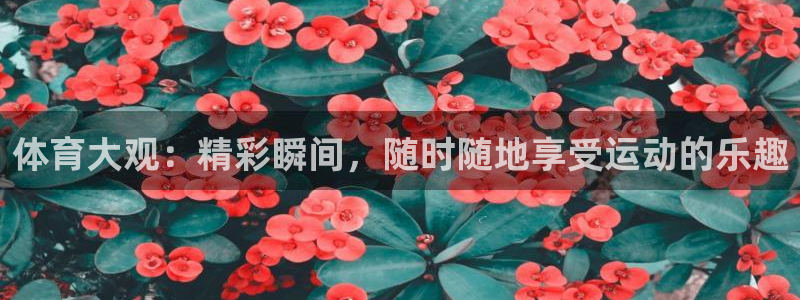 体育大观：精彩瞬间，随时随地享受运动的乐趣