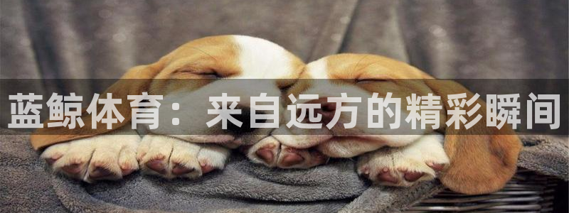 蓝鲸体育：来自远方的精彩瞬间