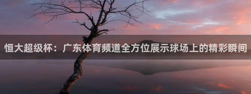 恒大超级杯：广东体育频道全方位展示球场上的精彩瞬间