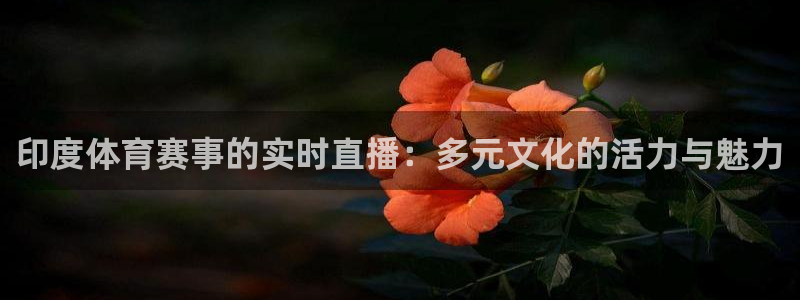 印度体育赛事的实时直播：多元文化的活力与魅力