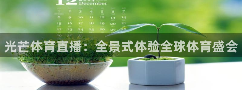 光芒体育直播：全景式体验全球体育盛会