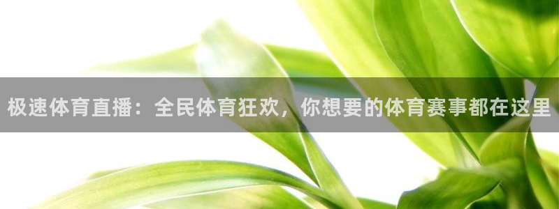极速体育直播：全民体育狂欢，你想要的体育赛事都在这里