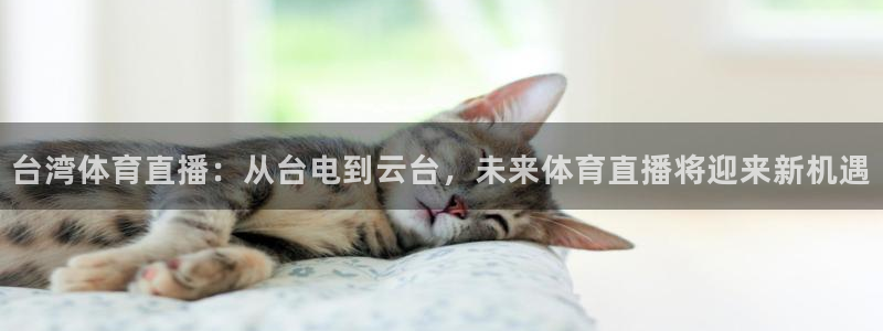 台湾体育直播：从台电到云台，未来体育直播将迎来新机遇
