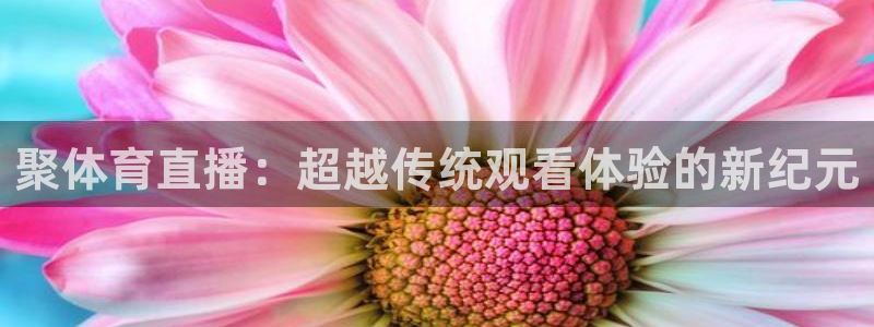聚体育直播：超越传统观看体验的新纪元