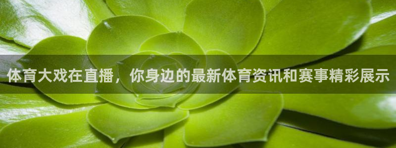 体育大戏在直播，你身边的最新体育资讯和赛事精彩展示