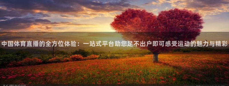 中国体育直播的全方位体验：一站式平台助您足不出户即可感受运动的魅力与精彩