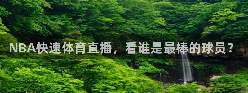 NBA快速体育直播，看谁是最棒的球员？