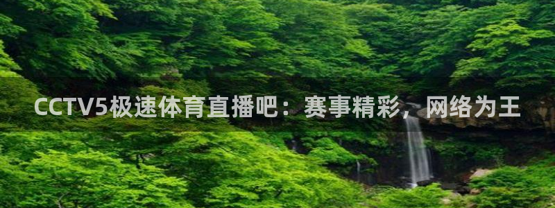CCTV5极速体育直播吧：赛事精彩，网络为王