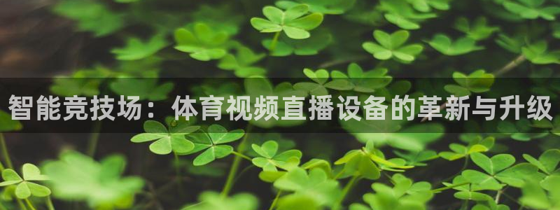 智能竞技场：体育视频直播设备的革新与升级