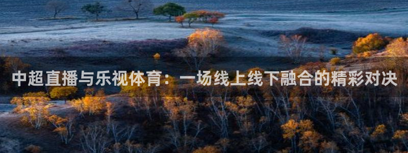 中超直播与乐视体育：一场线上线下融合的精彩对决