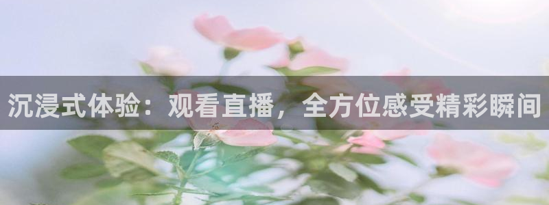 沉浸式体验：观看直播，全方位感受精彩瞬间