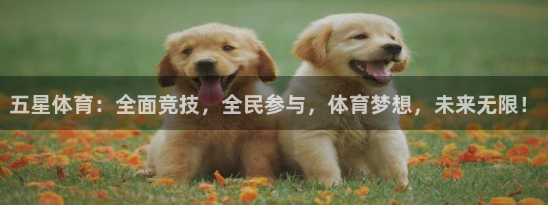 五星体育：全面竞技，全民参与，体育梦想，未来无限！