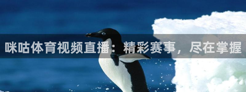 咪咕体育视频直播：精彩赛事，尽在掌握