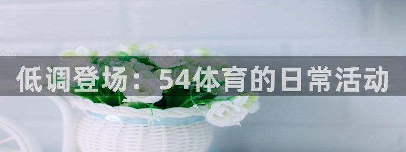 低调登场：54体育的日常活动