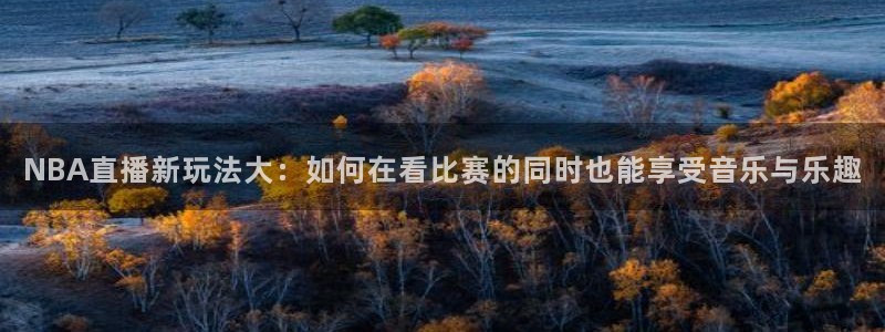 NBA直播新玩法大：如何在看比赛的同时也能享受音乐与乐趣
