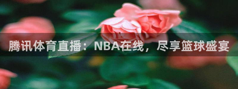 腾讯体育直播：NBA在线，尽享篮球盛宴