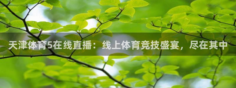 天津体育5在线直播：线上体育竞技盛宴，尽在其中