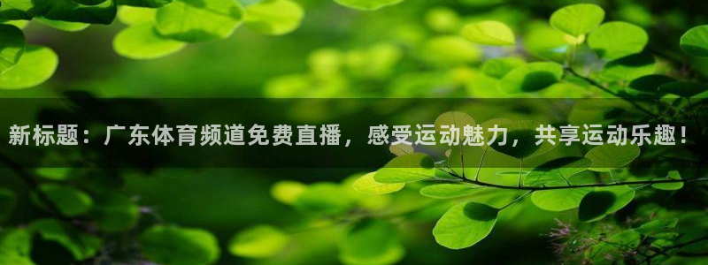 新标题：广东体育频道免费直播，感受运动魅力，共享运动乐趣！