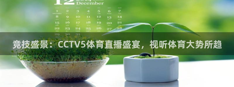 竞技盛景：CCTV5体育直播盛宴，视听体育大势所趋