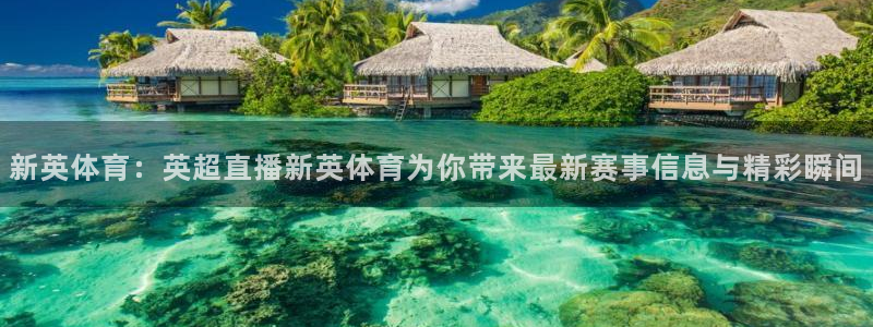 新英体育：英超直播新英体育为你带来最新赛事信息与精彩瞬间
