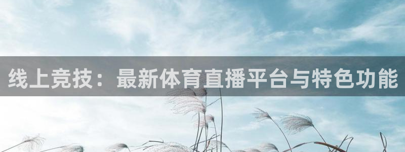线上竞技：最新体育直播平台与特色功能
