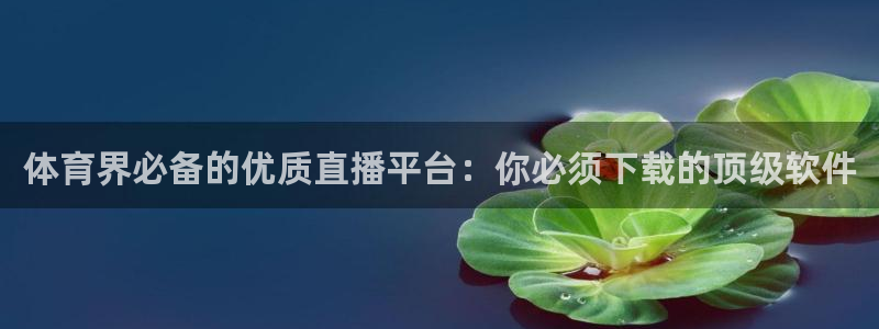 体育界必备的优质直播平台：你必须下载的顶级软件