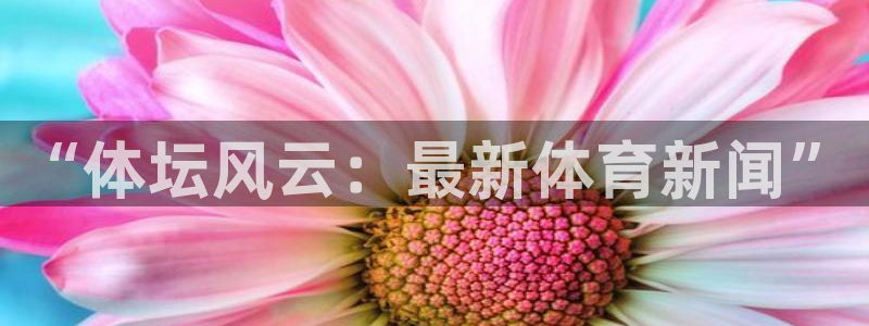 “体坛风云：最新体育新闻”