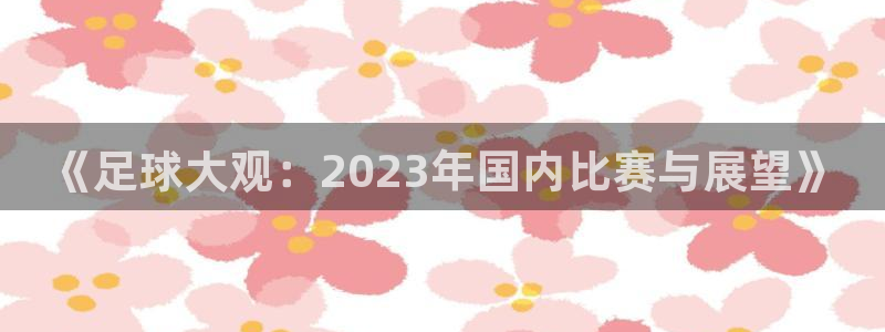 《足球大观：2023年国内比赛与展望》