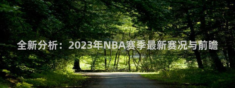 全新分析：2023年NBA赛季最新赛况与前瞻