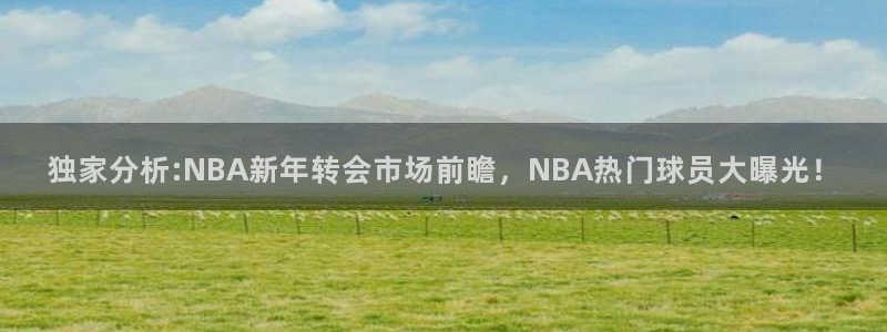独家分析:NBA新年转会市场前瞻，NBA热门球员大曝光！