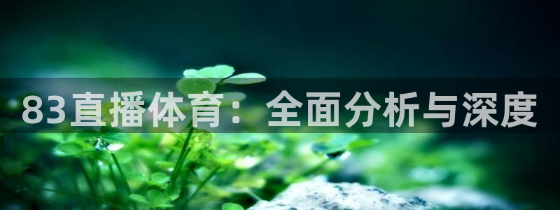 83直播体育：全面分析与深度