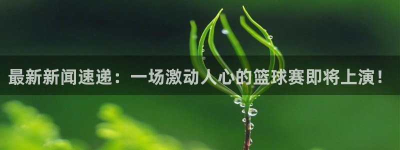 最新新闻速递：一场激动人心的篮球赛即将上演！