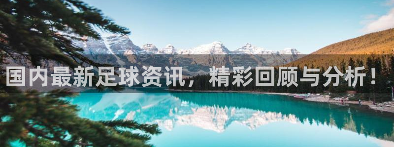 国内最新足球资讯，精彩回顾与分析！
