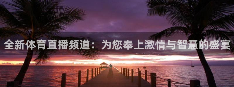 全新体育直播频道：为您奉上激情与智慧的盛宴