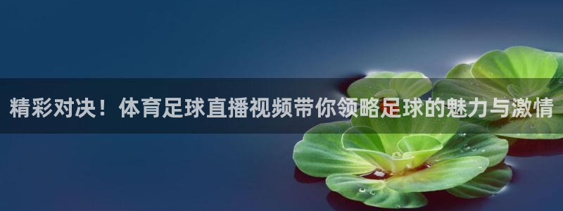 精彩对决！体育足球直播视频带你领略足球的魅力与激情