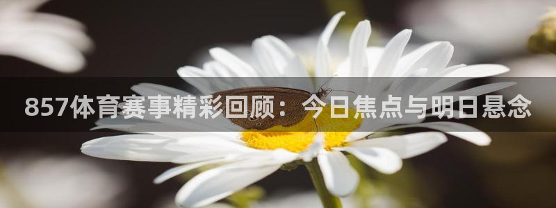 857体育赛事精彩回顾：今日焦点与明日悬念
