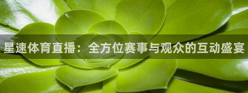 星速体育直播：全方位赛事与观众的互动盛宴