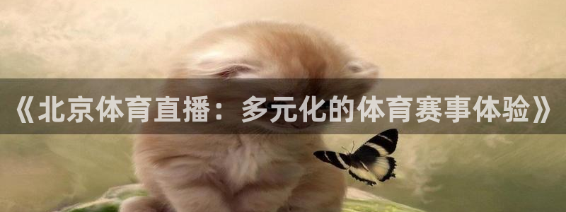 《北京体育直播：多元化的体育赛事体验》