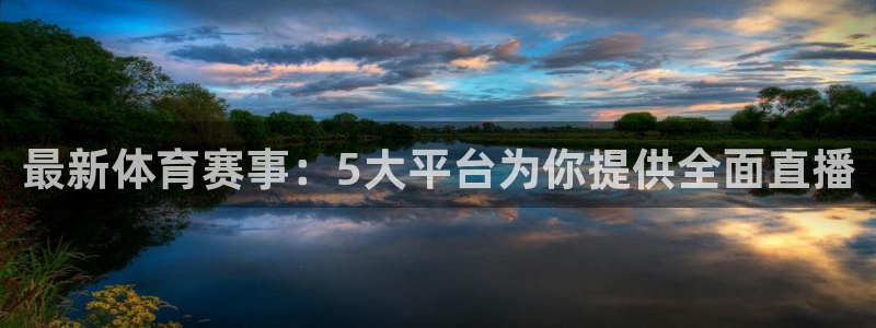 最新体育赛事：5大平台为你提供全面直播