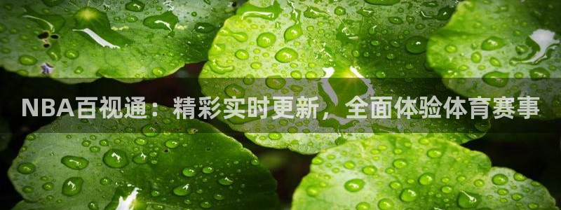 NBA百视通：精彩实时更新，全面体验体育赛事