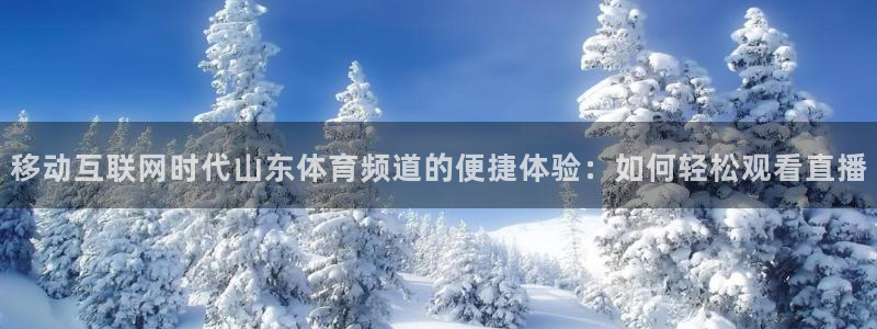 移动互联网时代山东体育频道的便捷体验：如何轻松观看直播