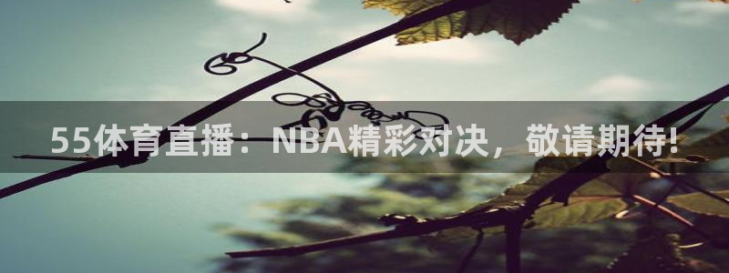 55体育直播：NBA精彩对决，敬请期待!