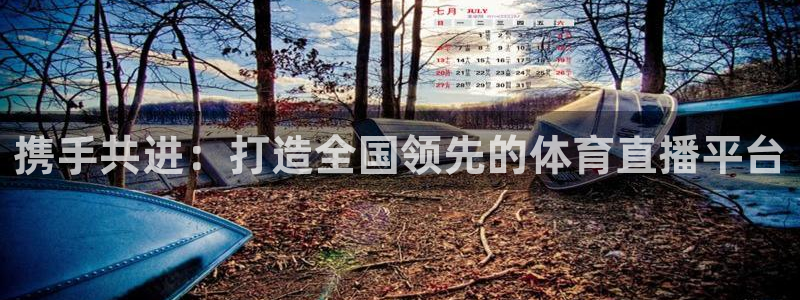 携手共进：打造全国领先的体育直播平台
