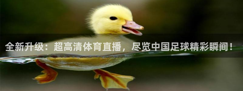 全新升级：超高清体育直播，尽览中国足球精彩瞬间！