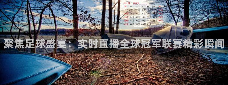 聚焦足球盛宴：实时直播全球冠军联赛精彩瞬间