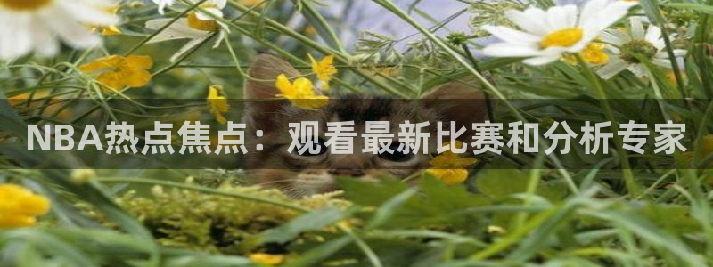 NBA热点焦点：观看最新比赛和分析专家