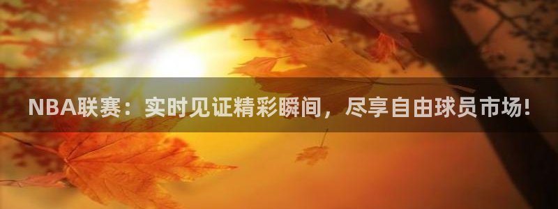 NBA联赛：实时见证精彩瞬间，尽享自由球员市场!