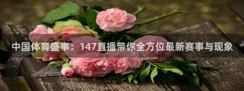 中国体育盛事：147直播带你全方位最新赛事与现象