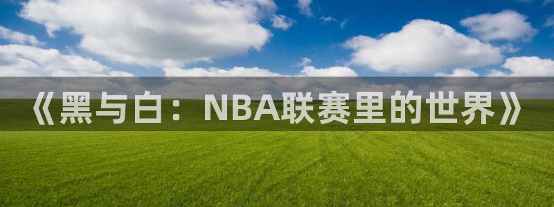 《黑与白：NBA联赛里的世界》